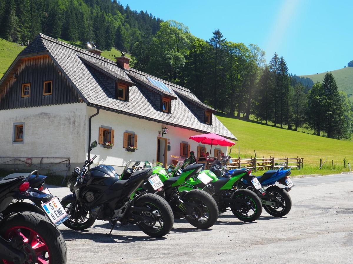 Zickerreith Almhutte Hostel Rosenau am Hengstpass Bagian luar foto