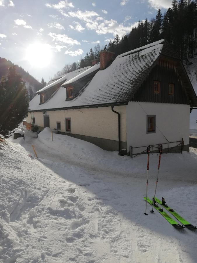 Zickerreith Almhutte Hostel Rosenau am Hengstpass Bagian luar foto